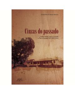 Cinzas do passado: cultura material, riqueza e escravidão no Vale do Paraopeba/MG (1831/1914)