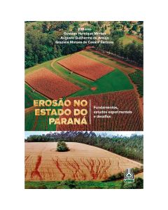 Erosão no Estado do Paraná: fundamentos, estudos experimentais e desafios