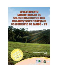 Levantamento semidetalhado de solos e diagnóstico dos remanescentes florestais do município de Cambé - PR
