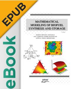 eBook - Mathematical Modeling of Biofuel Synthesis and Storage EPUB