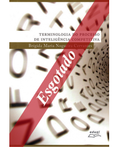 Terminologia do processo de inteligência competitiva